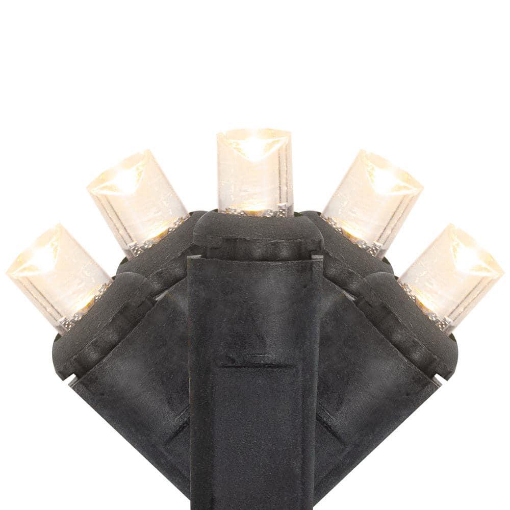 Northlight Seasonal 50ct Warm White LED Wide Angle Christmas Lights - 16.25 ft Black Wire