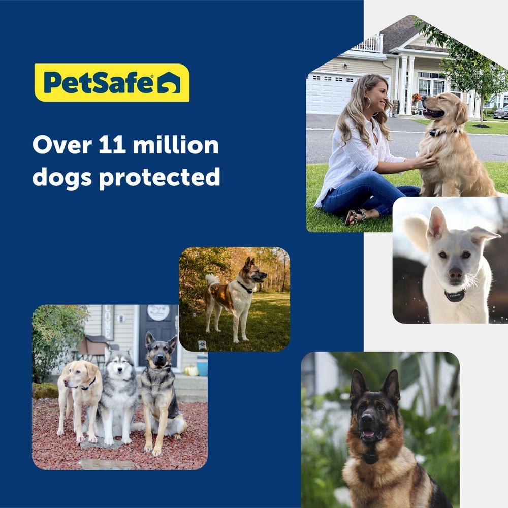 PetSafe® Wireless Pet Containment System Receiver Collar