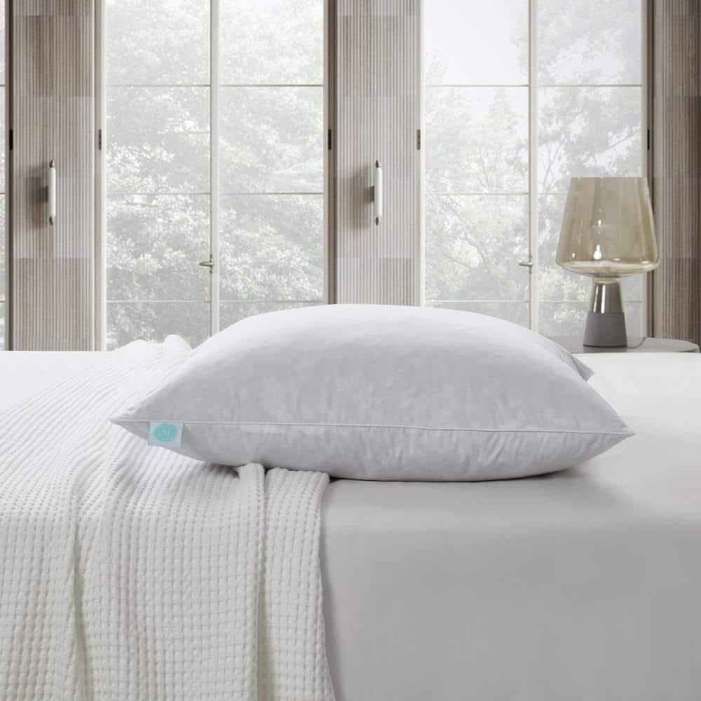 Martha Stewart 20X20'' Decorative Feather Pillow Insert (2PK) - Medium Firm (Set of 2)