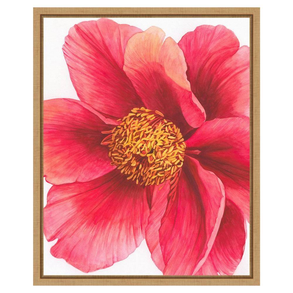 Amanti Art 16"x20" Tree Peony II by Grace Popp Framed Canvas Wall Art Print