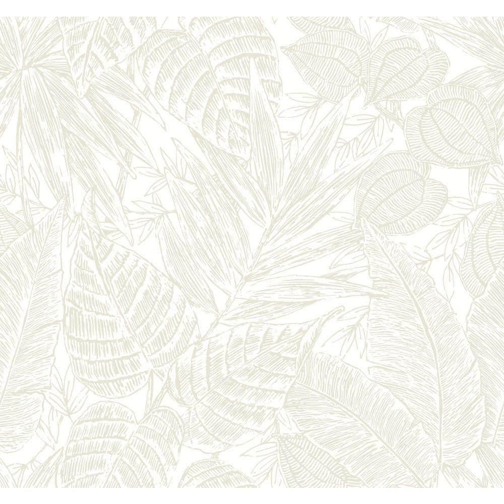 Scott Living Home Brentwood Palm Leaves Wallpaper