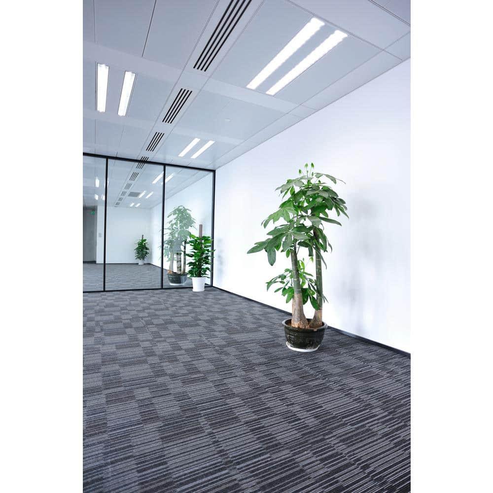 Feit Electric  3 ft. T8-12 4K Linear LED Light Bulb