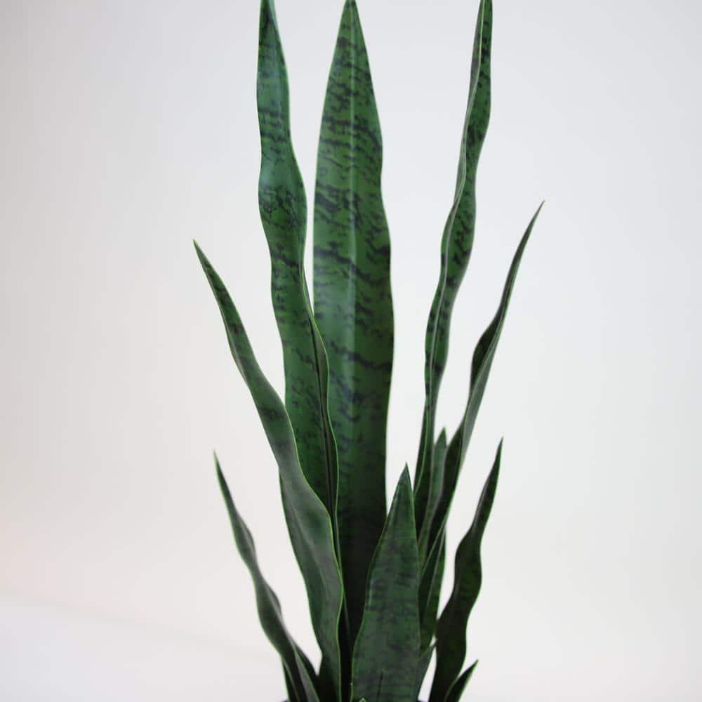 Primrue Faux Snake Plant (Sansevieria) Tree in Pot Liner