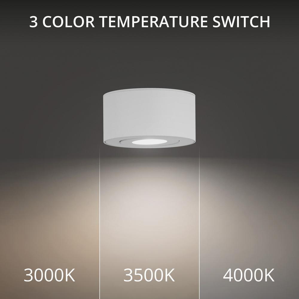 Peek LED Flush Mount