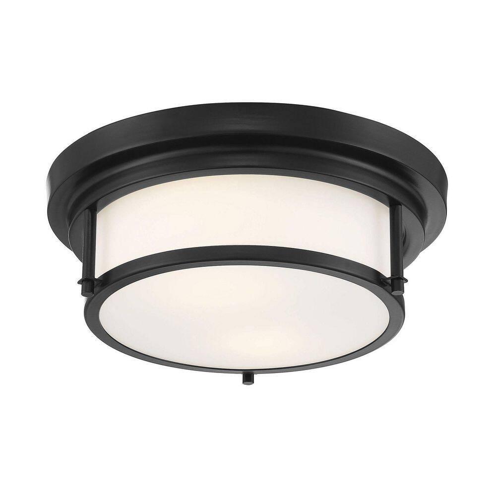 Trade Winds Lighting 2-Light Ceiling Light In Matte Black
