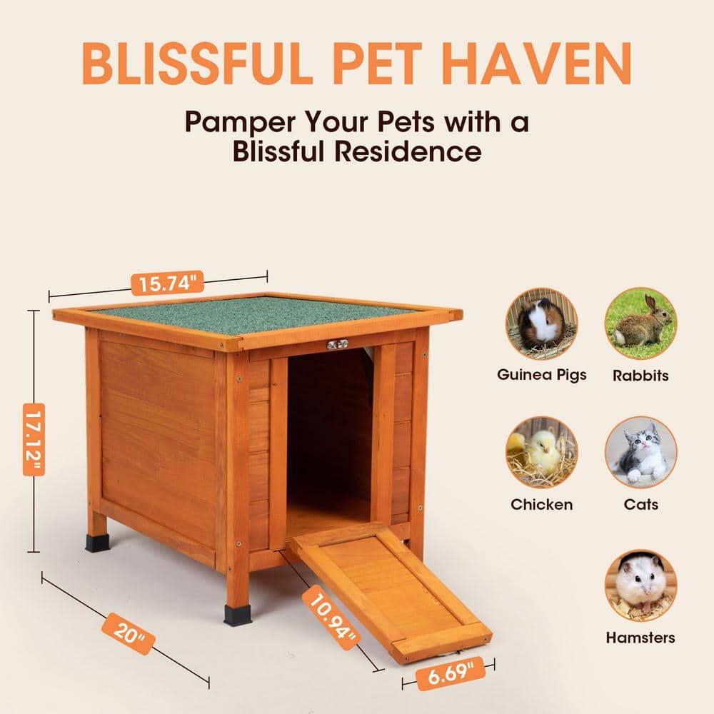Small Wood Rabbit Hutch Bunny Cage, Raised Cat House with Ladder for Small Animals, Orange