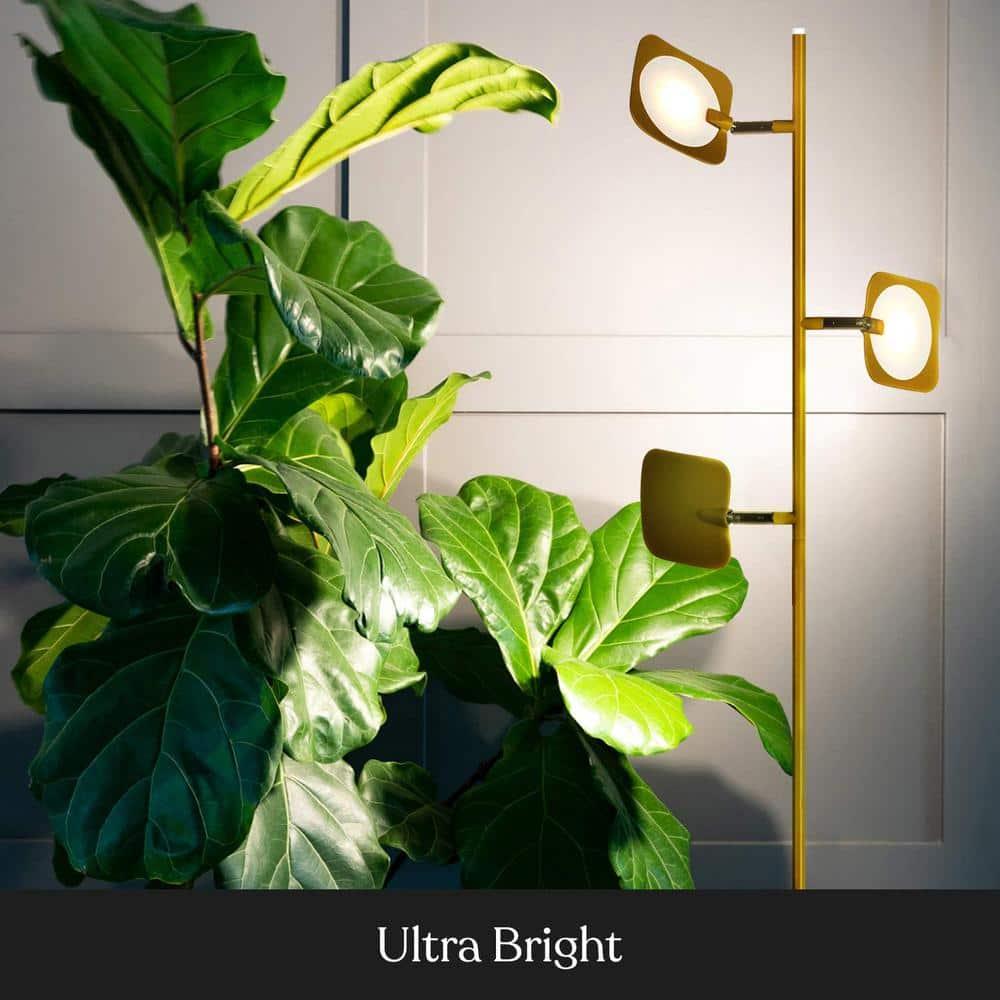 Brightech Tree Industrial LED 3-Way Dimming Floor Lamp with 3 Adjustable Spot Lights