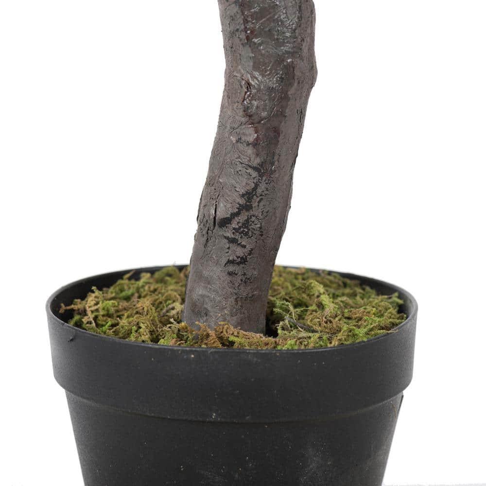 50 in. Green Olive Tree in Pot