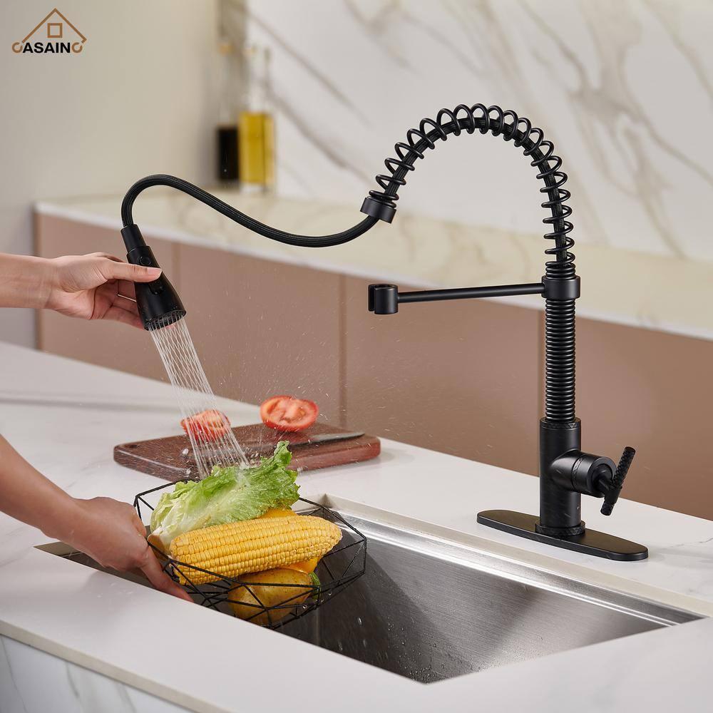 CASAINC 1.8 GPM Single-Handle Pull-Down Kitchen Faucet Single Hole Faucet