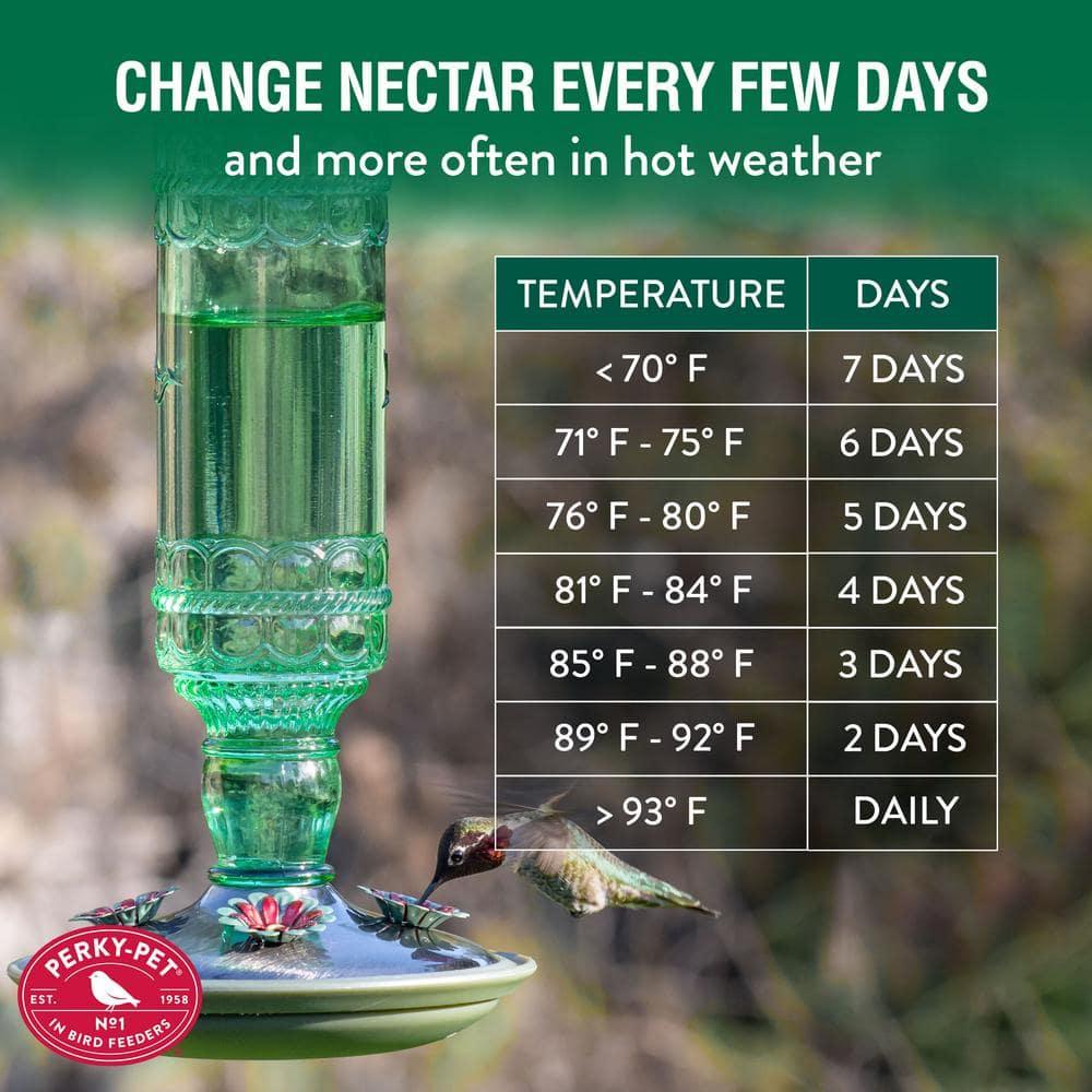 Woodstream Glass Hanging Soda Bottle Feeder