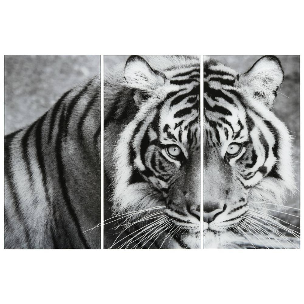 Empire Art Direct " Tiger ABC " 3 - Pieces