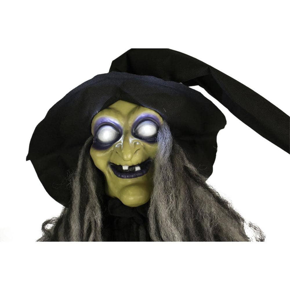 Haunted Hill Farm 9.5-Ft. Animatronic Witch, Indoor or Covered Outdoor Halloween Decoration, Light-up White Eyes, HHWITCH-16FLSA