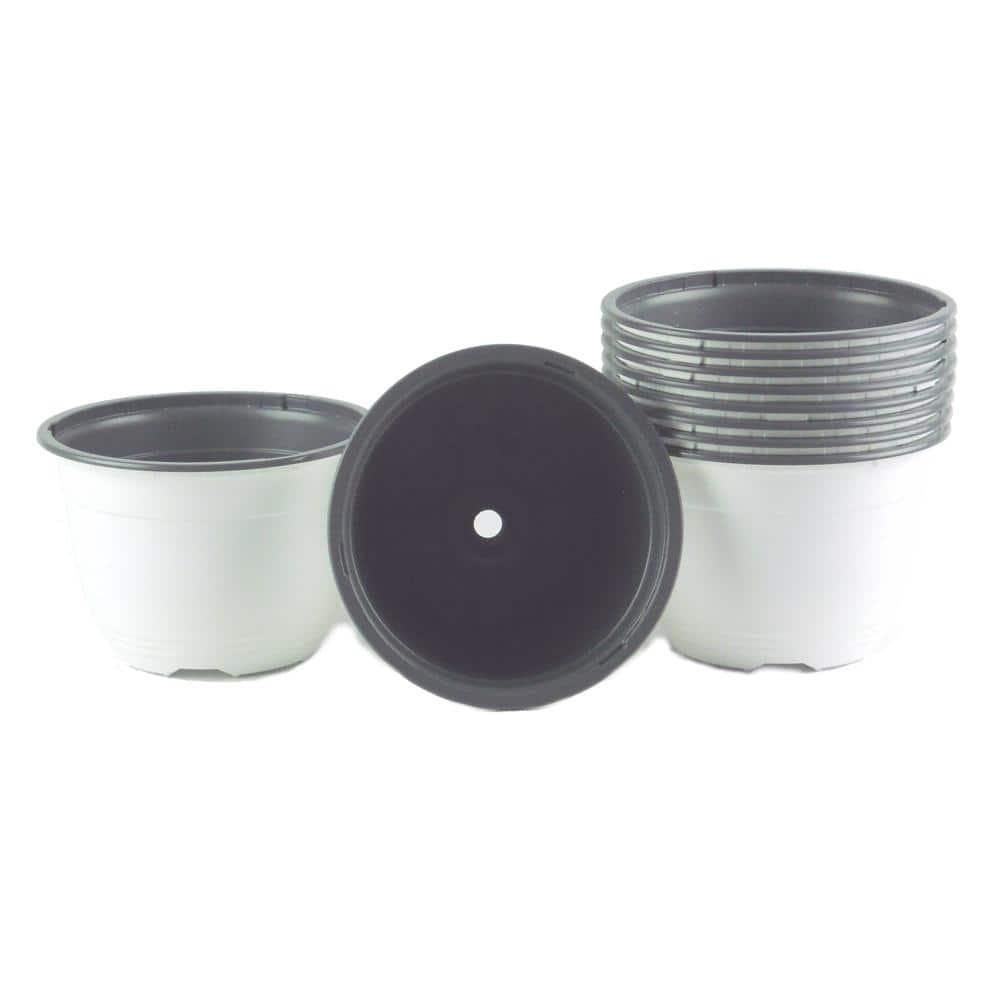 6 in. Plastic Pot White & Gray - Pack of 10