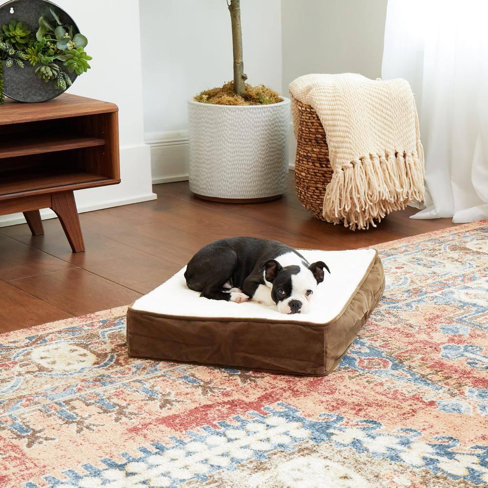 Happy Hounds Oscar Sherpa Orthopedic Dog Bed, Latte, Extra Small (24 x 18 in.)