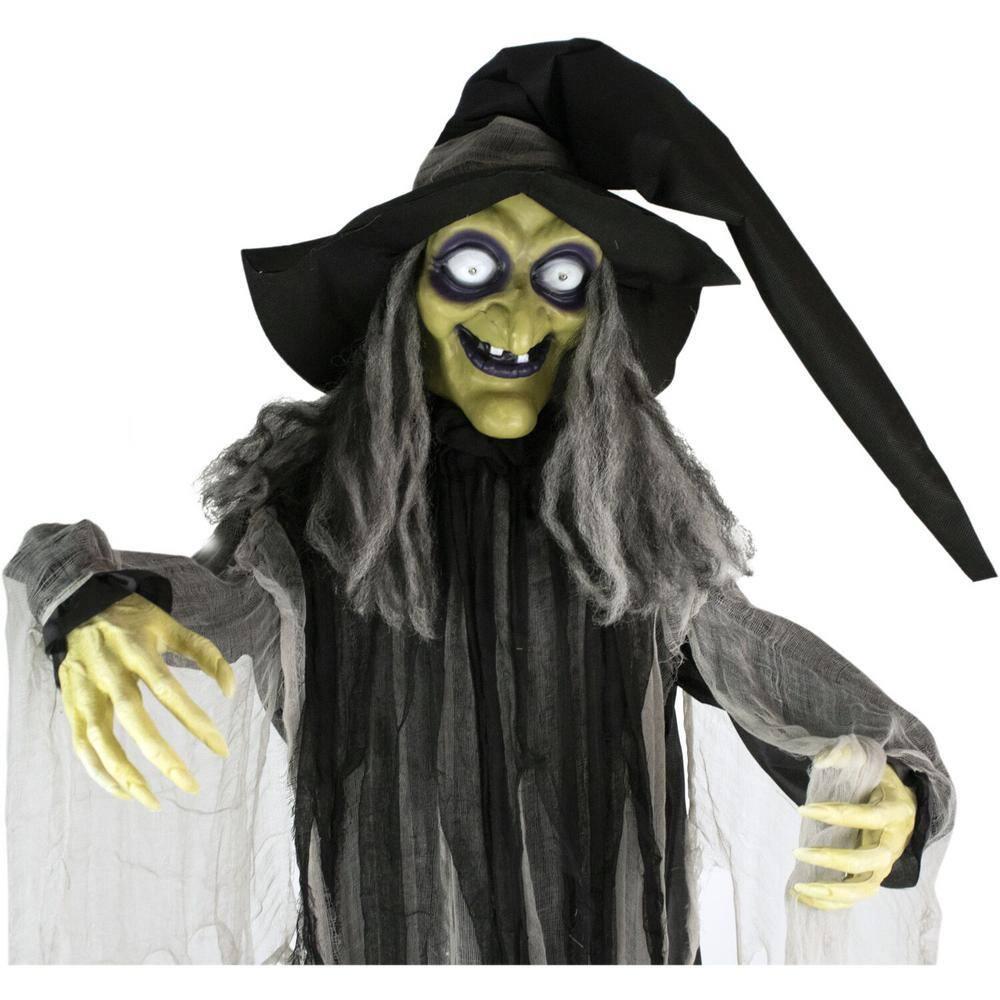 Haunted Hill Farm 9.5-Ft. Animatronic Witch, Indoor or Covered Outdoor Halloween Decoration, Light-up White Eyes, HHWITCH-16FLSA