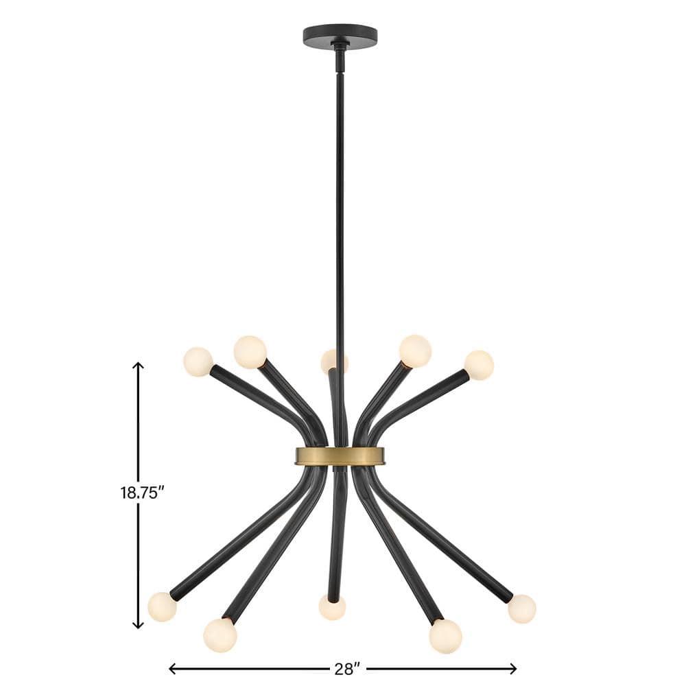 Lark Axton 10 - Light Chandelier in  Black/Lacquered Brass