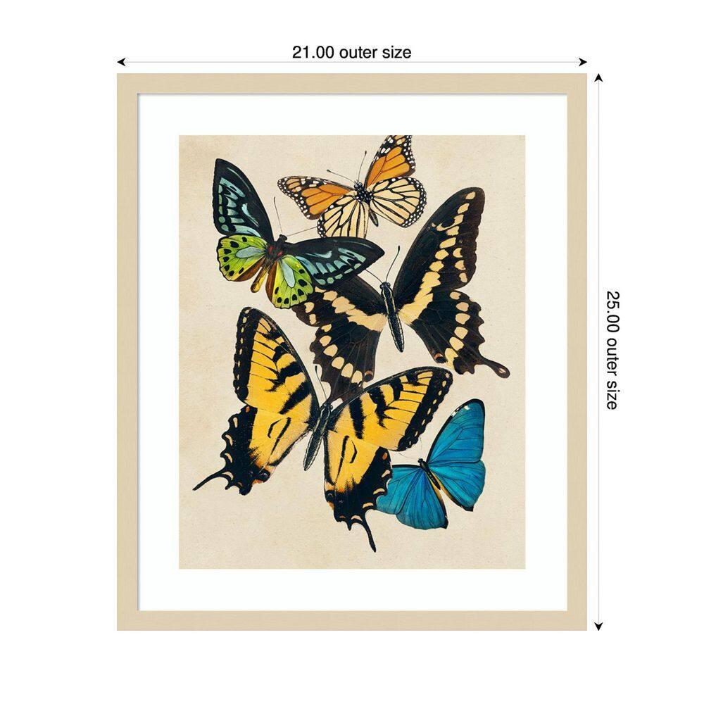 Amanti Art Collaged Butterflies II by Victoria Barnes Wood Framed Wall Art Print