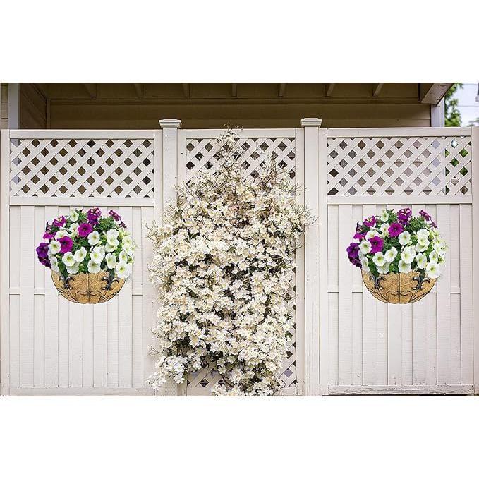 Ashman Wall/Rail Metal Plant Basket, Black, 2 Pack – Hanging Flower Planters for Fences & Walls