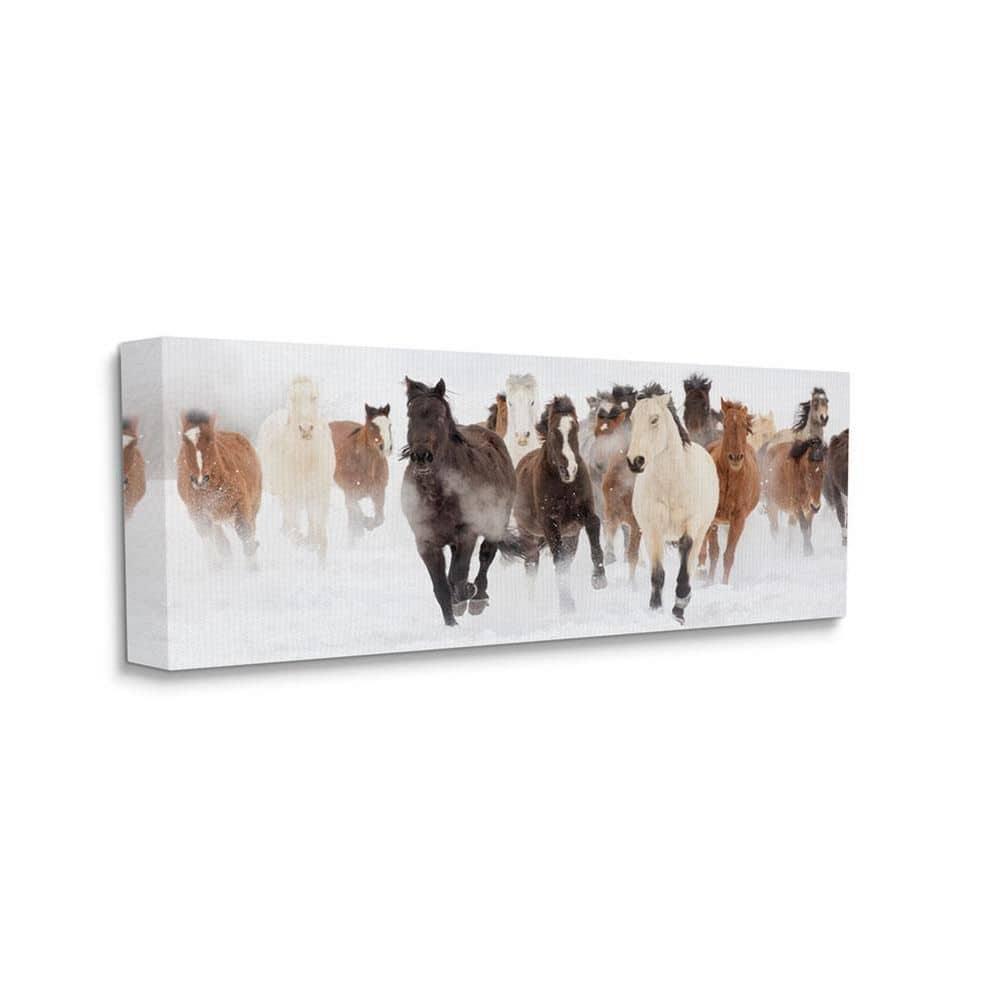 Stupell Industries Wild Horses Herd Foggy Winter Day Running Snow by Danita Delimont - Painting