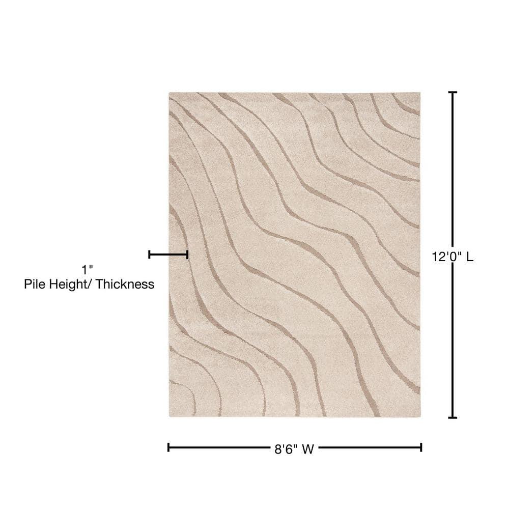 Florida Shag SG472 Power Loomed Indoor Area Rug - Cream/Beige - 9'x12' - Safavieh