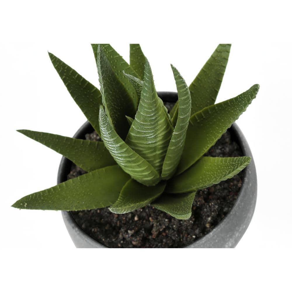 Artificial Succulents Silk Plant Indoor Set of 3, Green, Gray Cement