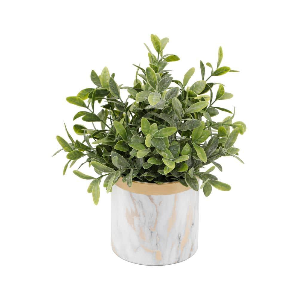 Flora Bunda CS5172E-GD Tea leaf in GD Marble 4.5' Ceramic Pot