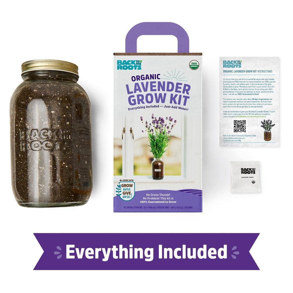 Back to the Roots Organic Lavender Grow Kit