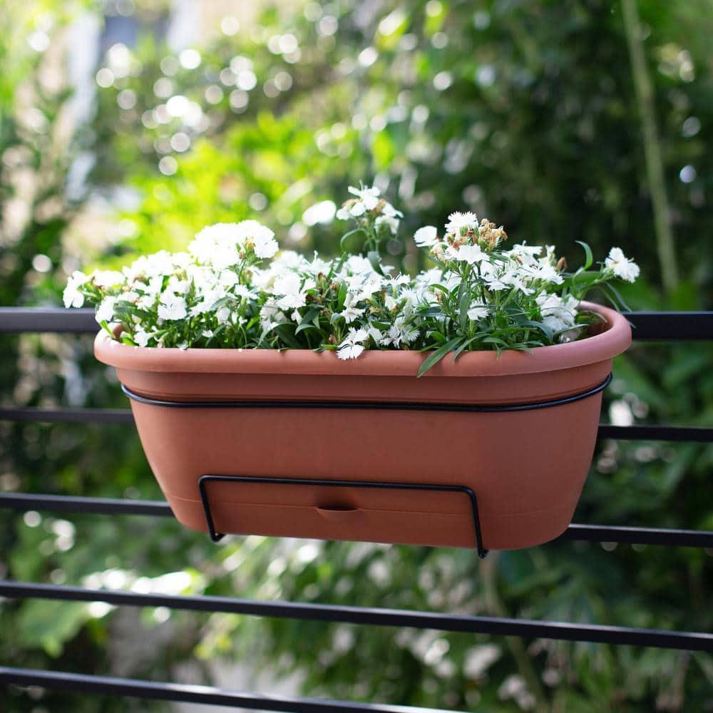 Bloem 7.5 in. H X 9.13 in. W X 18 in. D Resin Lucca Window Box Terracotta