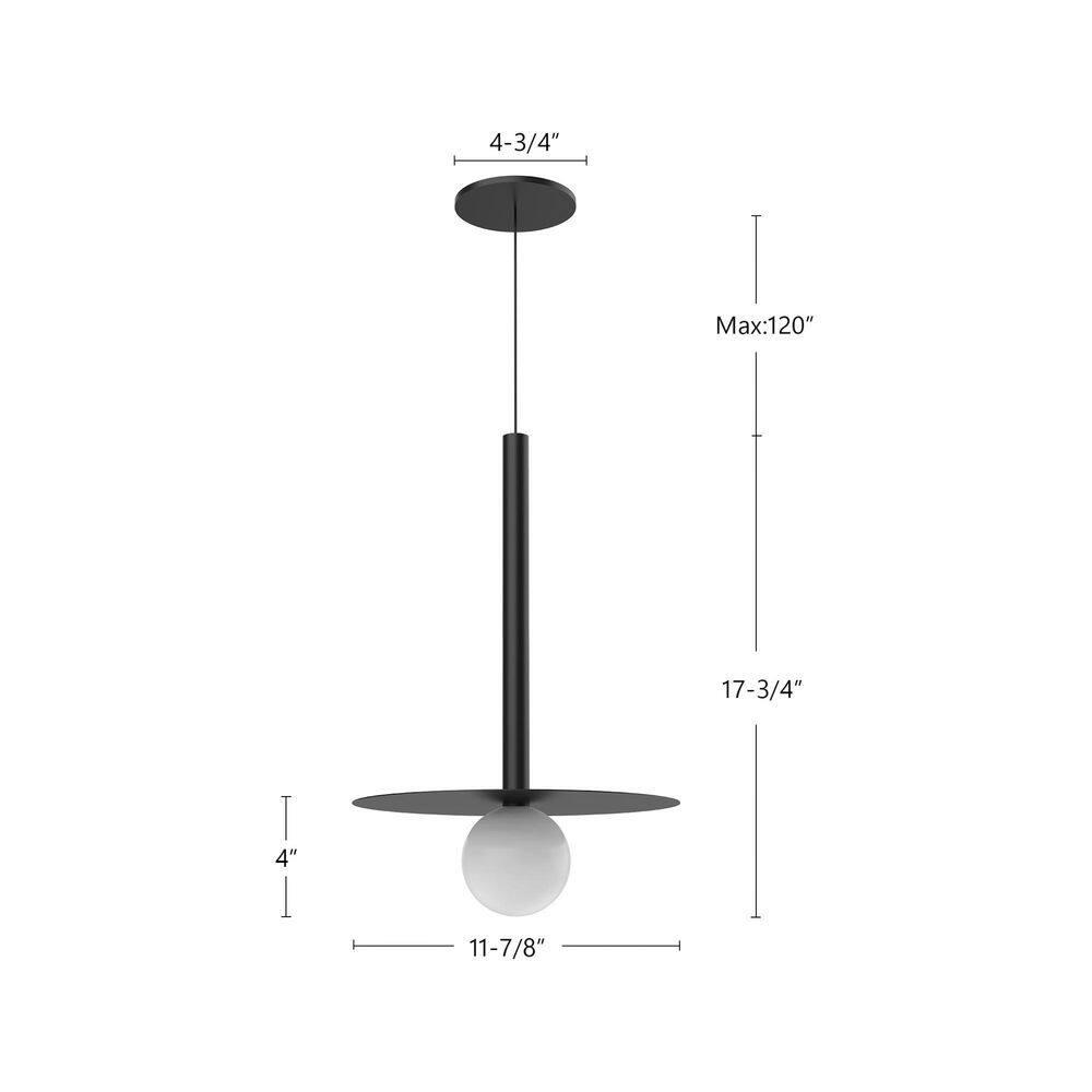 Black Glass LED Indoor/Outdoor Globe Pendant Light