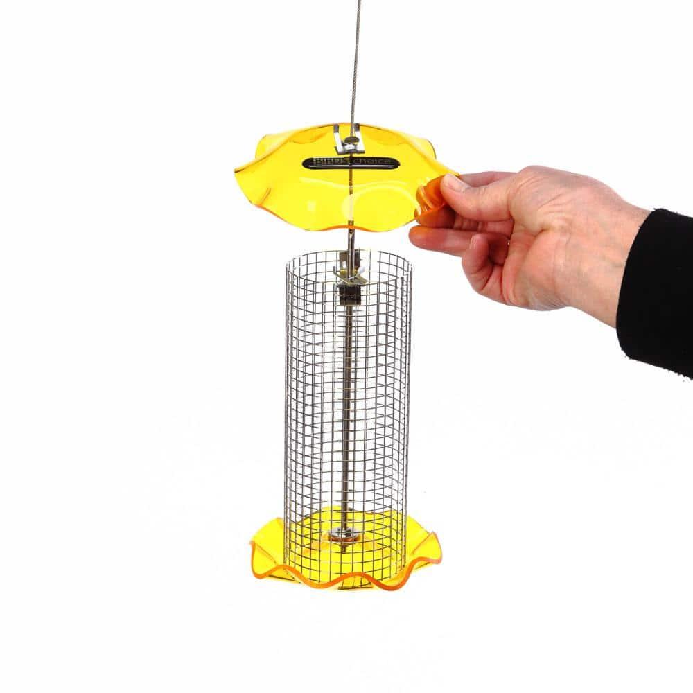 Birds Choice Small Sunflower Seed Forever Feeder with Stainless Steel Screen