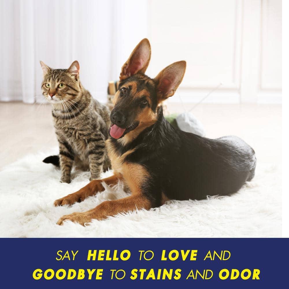 Arm & Hammer Plus Oxiclean Pet Stain & Odor Eliminator for Carpet - 32oz