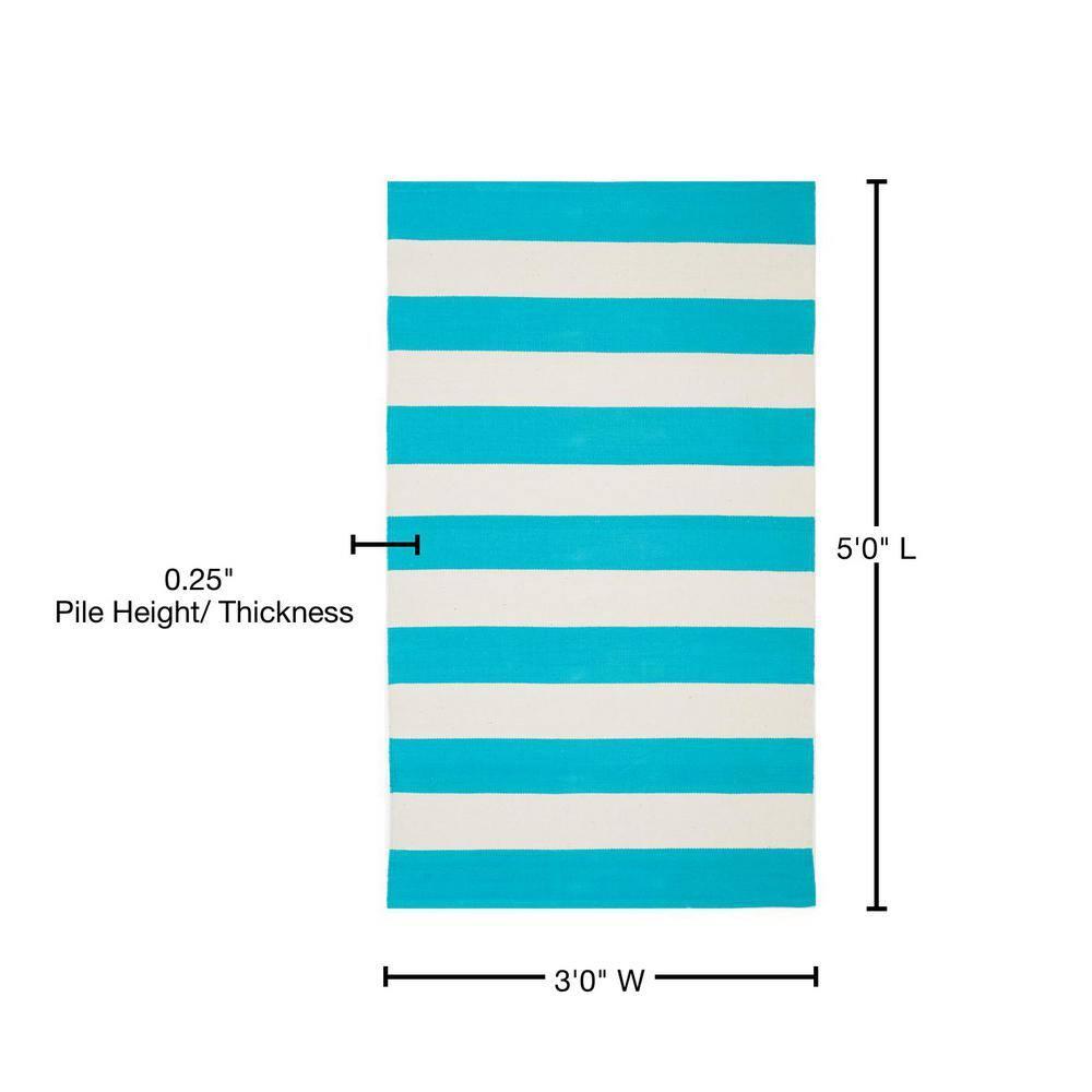 Montauk MTK712 Hand Woven Area Rug - Turquoise/Ivory - 3'x5' - Safavieh.