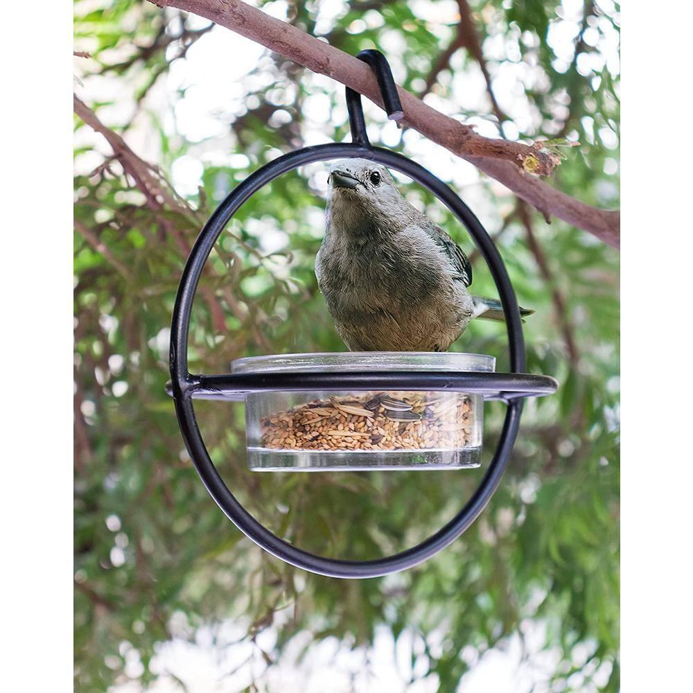 Monarch Abode Hanging Zazu Bird Feeder with Clear Glass Bowl, Perch, Outdoor Decor for Garden Backyard Patio