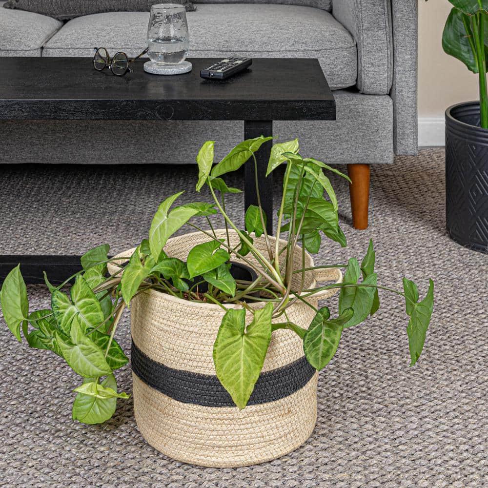 Household Essentials Household Essentials Paper Basket