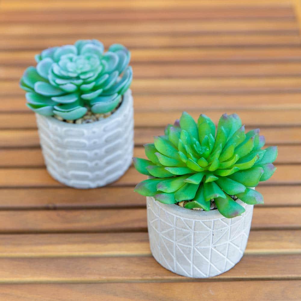 Flora Bunda Mid Century Artificial Plants Cactus Set of 2 Fake Succulent in 3" Cement Diamond line Pot Grey Planter, Potted Plants, for Home Office Decorations C65