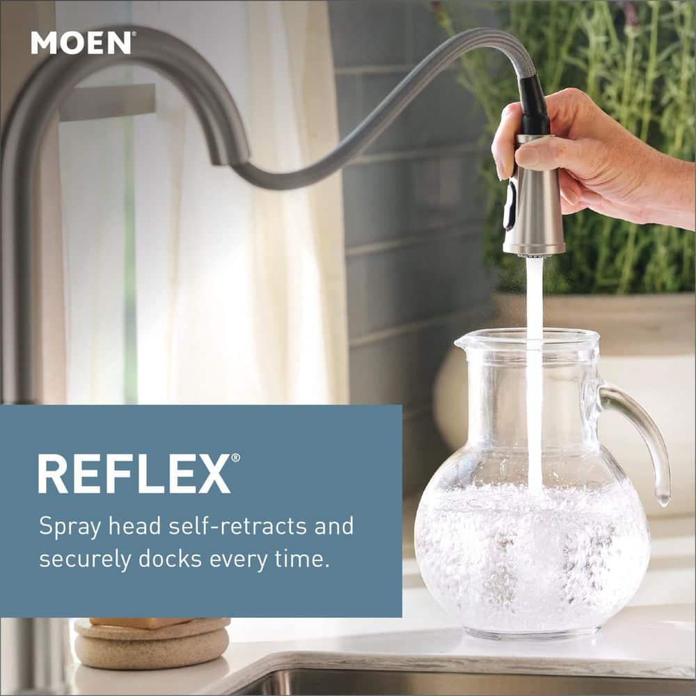 Adler Pull Down Single Handle Kitchen Faucet with Accessories