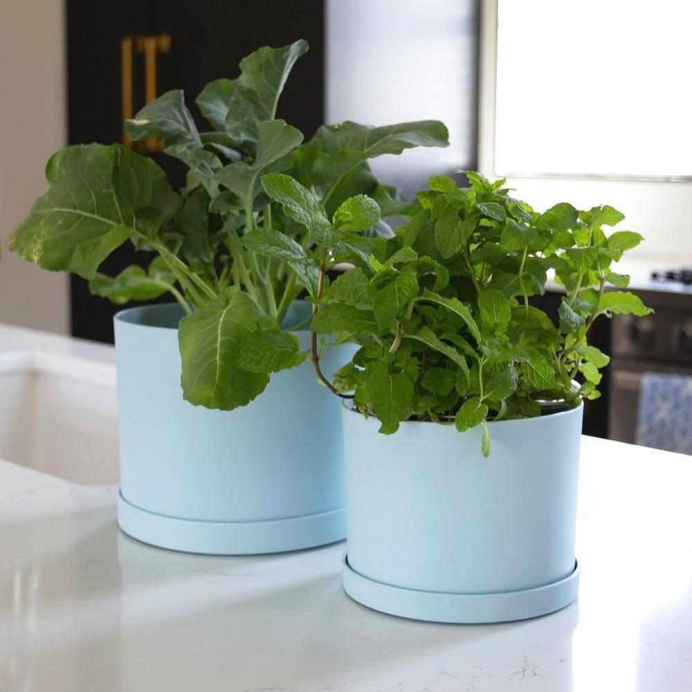 Bloem Mathers 9.625 in. H X 18 in. D Resin Planter Misty Blue