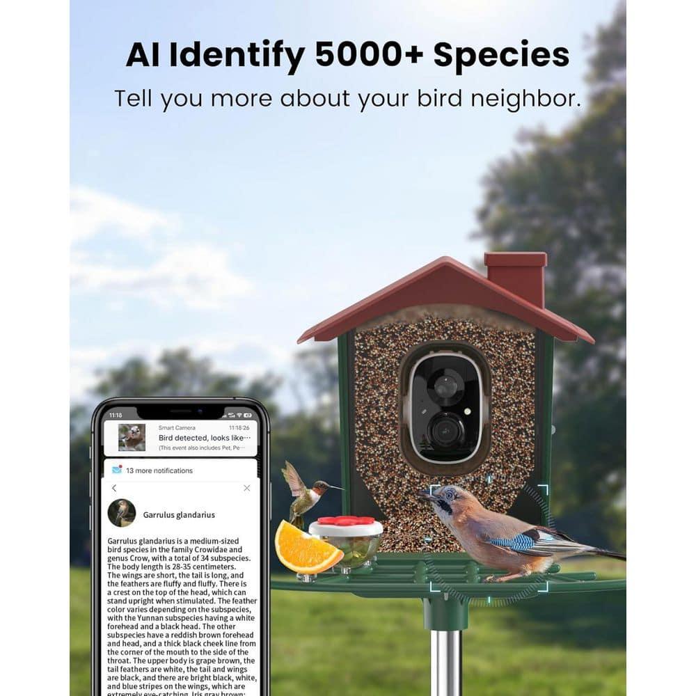 Solar-Powered Green and Red Bird Feeder with 2K HD Camera
