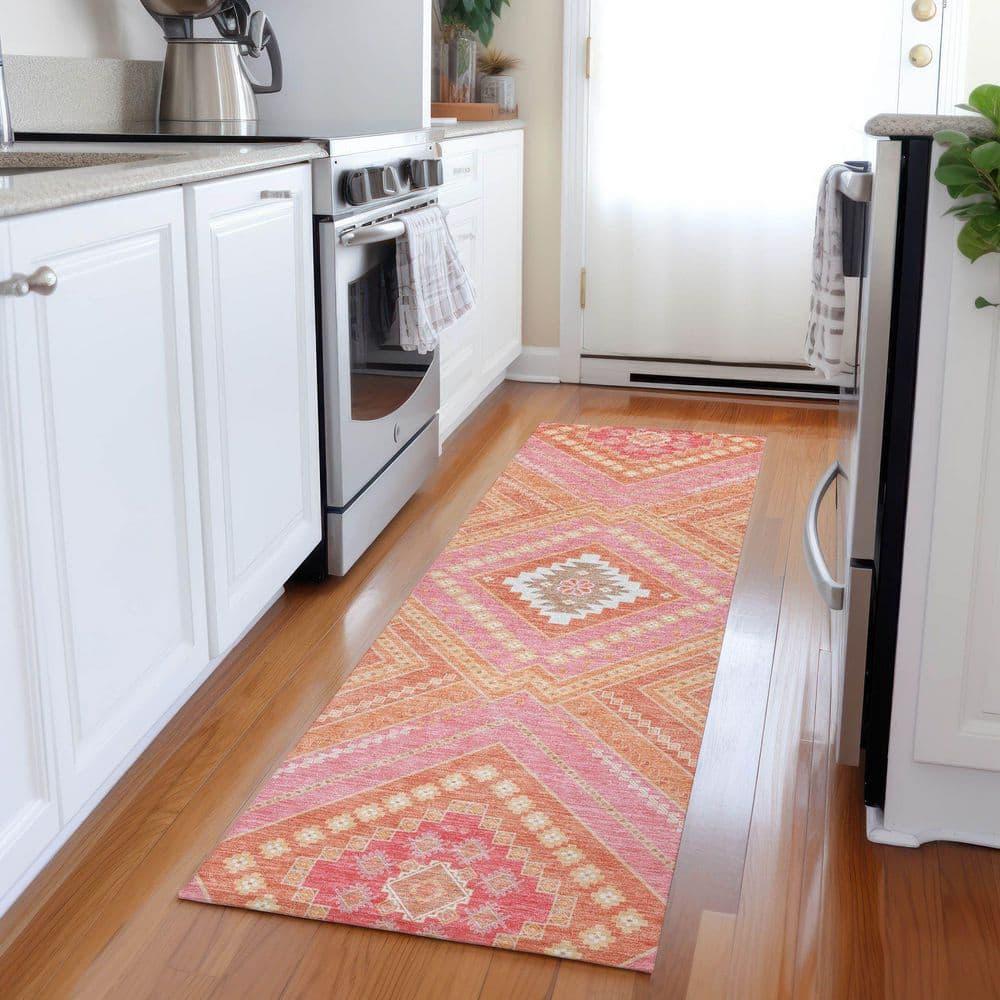 Machine Washable Indoor/Outdoor Chayden ACN1010 Coral Rug