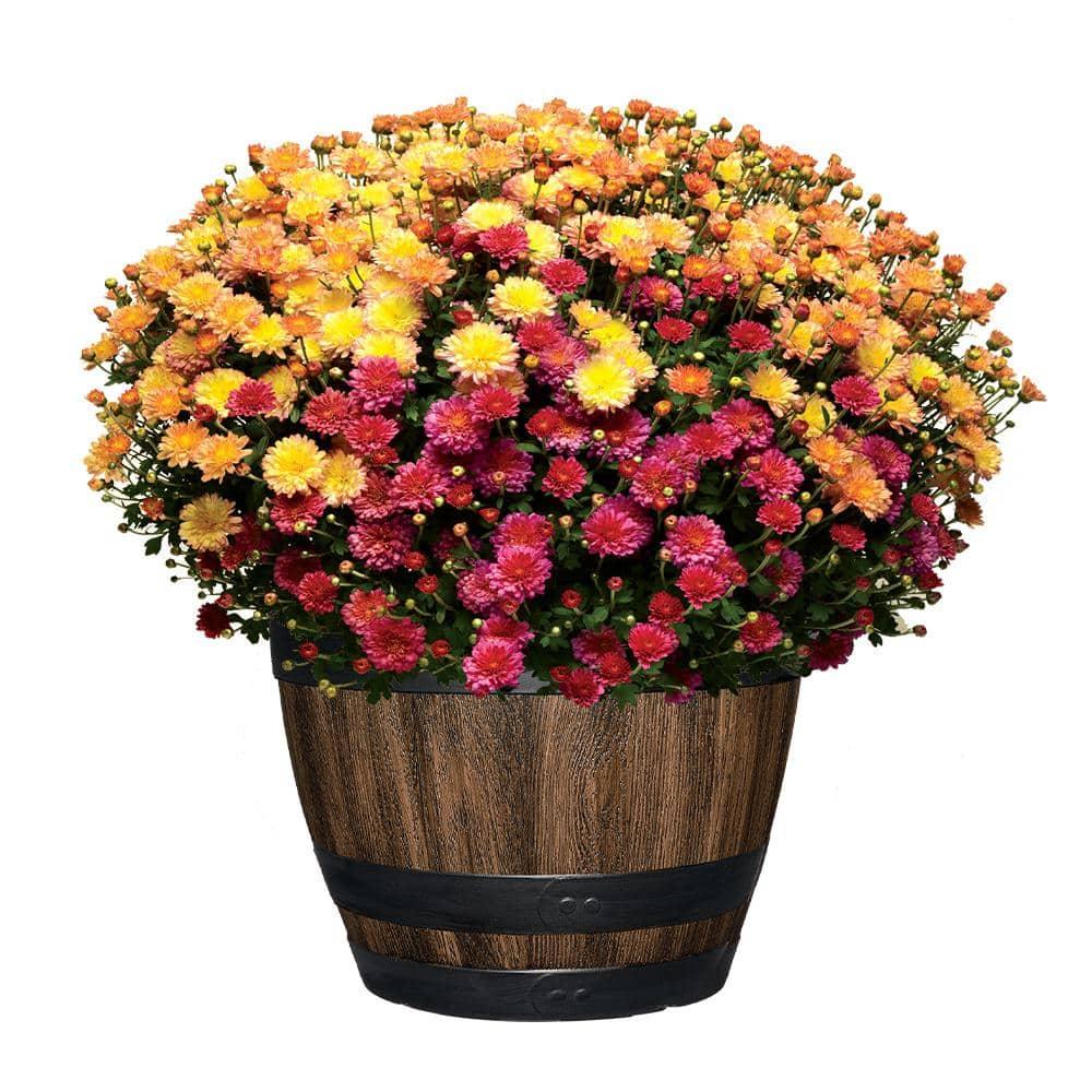 16 Inch Resin Barrel Planter Indoor Outdoor Garden Decor Large Flower Plant Pot