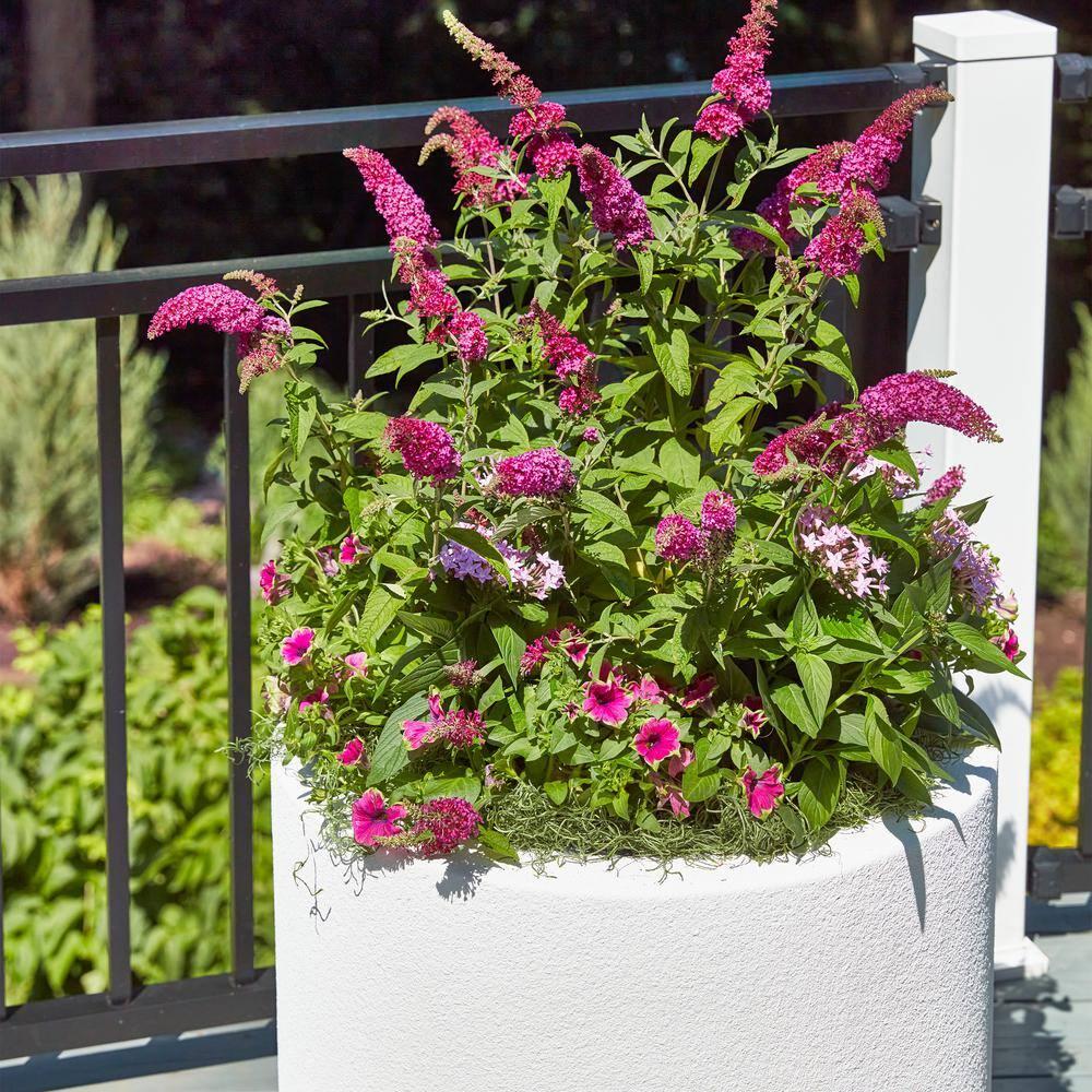 PolyStone Planters Round 19-in H x Brown Mixed/Composite Outdoor Planter