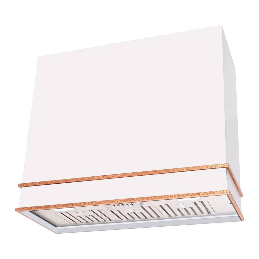 Akicon Akicon 36" Stainless Steel 600 CFM Ducted (Vented) Wall Mounted Required Range Hood