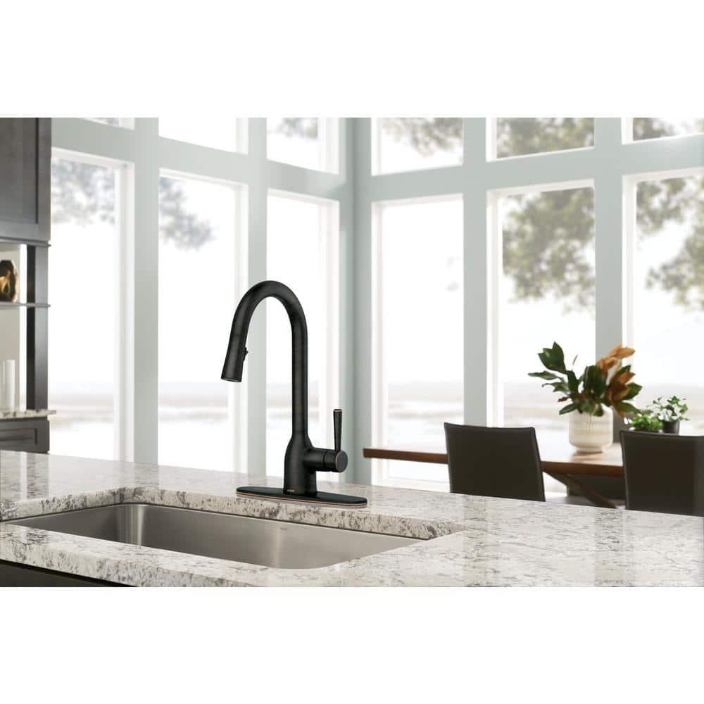 Adler Pull Down Single Handle Kitchen Faucet with Accessories