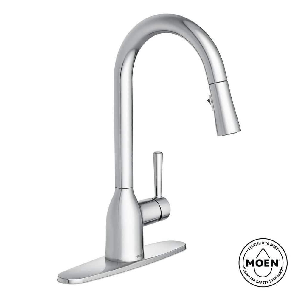 Adler Pull Down Single Handle Kitchen Faucet with Accessories