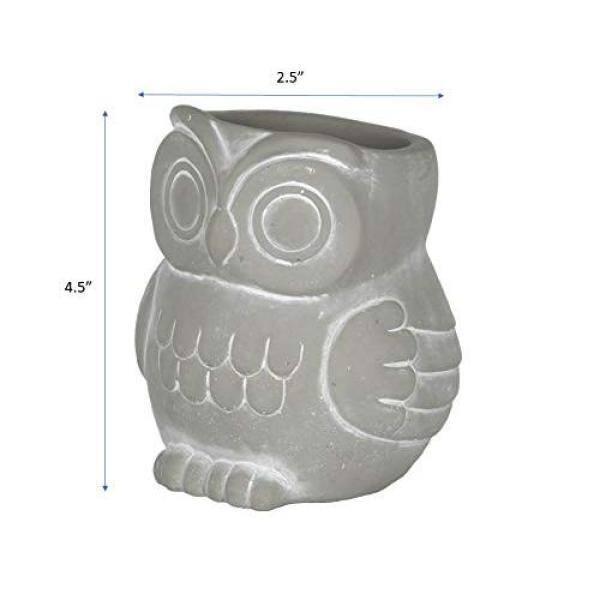 Classic Home and Garden Cement Buddies Indoor/Outdoor Planter with Drainage Hole, Owl, Gray, Small, 4.5in