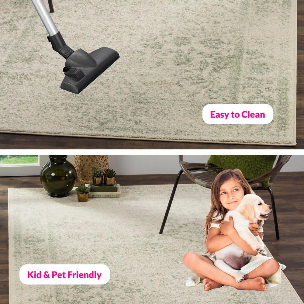 Adirondack ADR109 Machine Made Indoor Area Rug - Ivory/Sage - 6'x9' - Safavieh