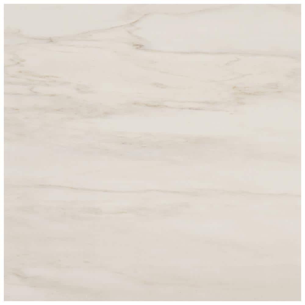 24" x 24" Polished Marble Look Porcelain Floor and Wall Tile (15.5 Sq. Ft. / Case)