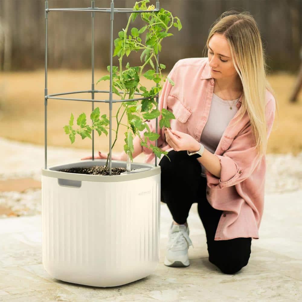 Vego Garden Mini Tomato Plastic Outdoor Pot Planter with Trellis