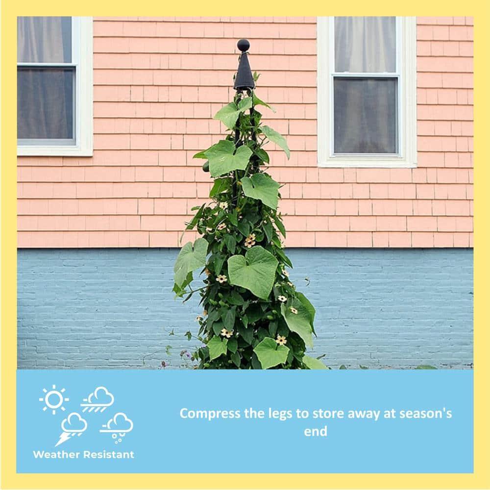 Latitude Run® Alarcon-Chacon 84'' H x 13'' W Iron Obelisk Trellis