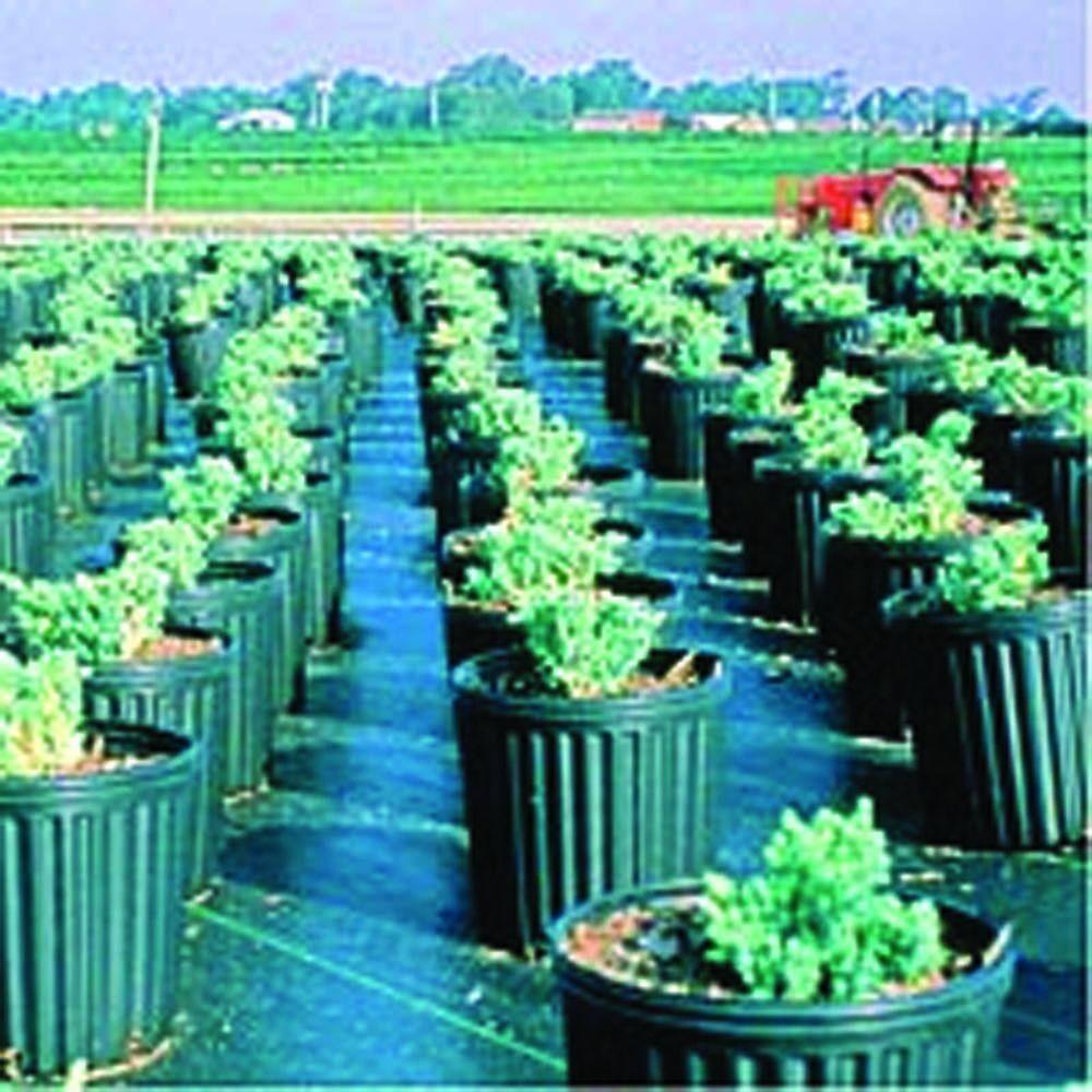 RSI- 6FT Commercial All Weather Landscaping Ground Covering-50FT